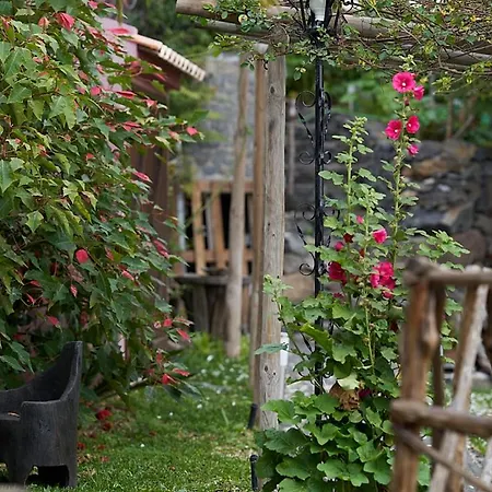 Ga281 * Funchal (Madeira)