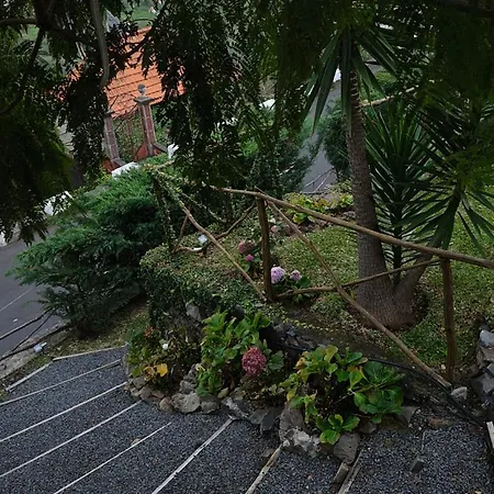 Ga281 * Funchal (Madeira)